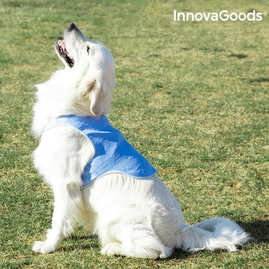 Gadget InnovaGoods | Chaleco Refrescante Para Mascotas Grandes Innovagoods - L