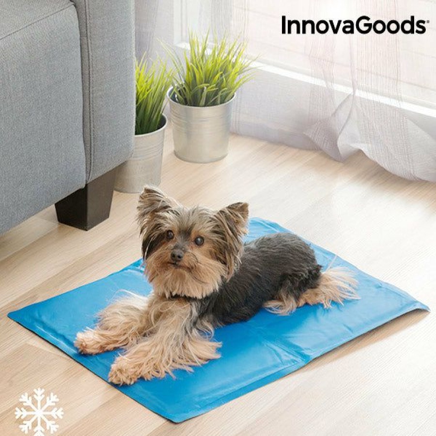 Gadget InnovaGoods | Esterilla Refrigerante Para Mascotas Innovagoods (40 X 50 Cm)