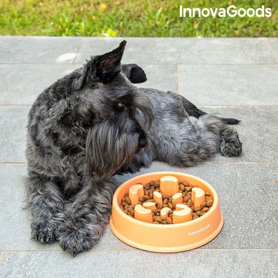 Gadget InnovaGoods | Comedero De Alimentacion Lenta Para Mascotas Slowfi Innovagoods