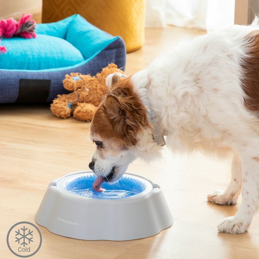 Gadget InnovaGoods | Bebedero Refrescante Para Mascotas Freshty Innovagoods