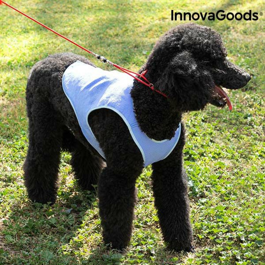 Gadget InnovaGoods | Chaleco Refrescante Para Mascotas Medianas Innovagoods - M