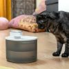 Gadget InnovaGoods | Fuente Para Gatos Recargable Con Sensor Refopet Innovagoods