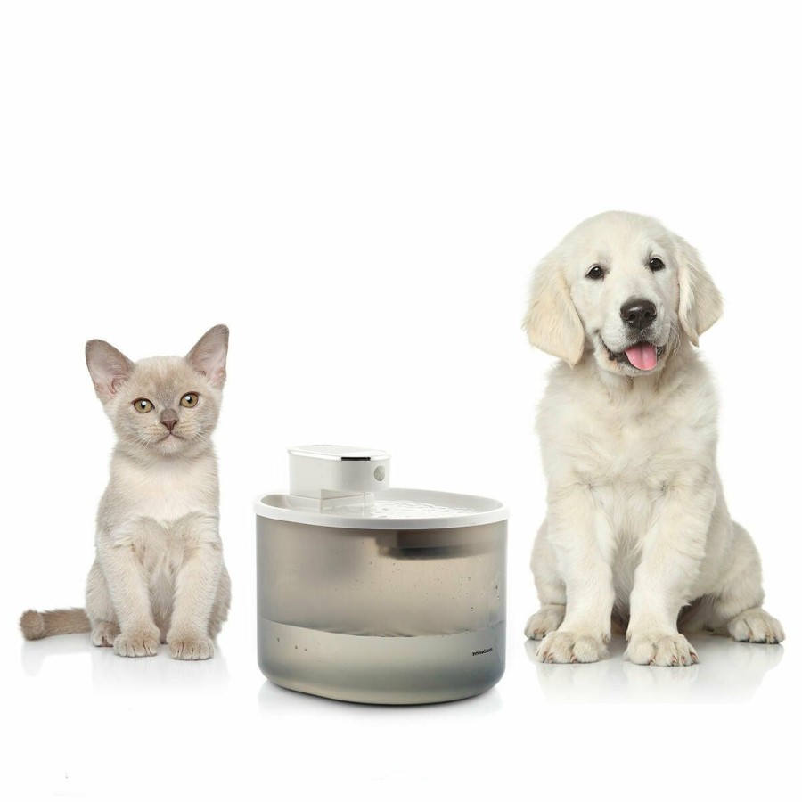 Gadget InnovaGoods | Fuente Para Gatos Recargable Con Sensor Refopet Innovagoods